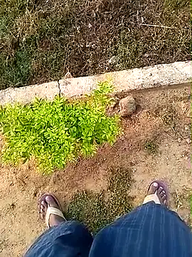 Rahul Razz online show from October 22, 1:42 am