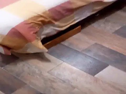 DavidVergagigante420 online show from October 30, 7:15 pm