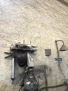 True Di online show from December 4, 12:56 pm