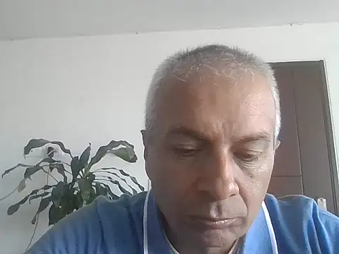 ALFRERM online show from November 17, 3:37 pm