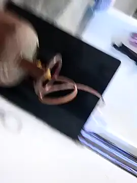 Chanderi19 online show from March 25, 1:31 am