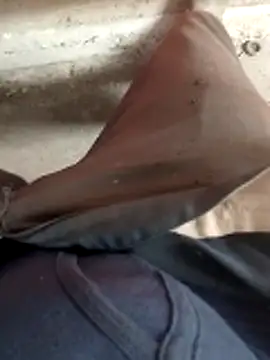 haryanaboypanipat12 online show from April 11, 7:56 am