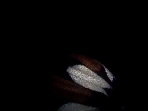 Snapshot of Naughty_gaurav chatting on September 17, 7:04 pm Naughty gaurav online show from September 17, 7:04 pm