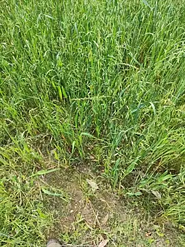 karandeep Bhagat online show from April 19, 5:07 am