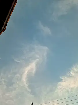 Bottz777 online show from November 4, 9:38 pm