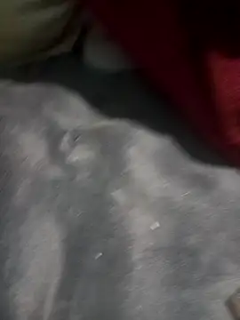 Dotadolargo online show from December 18, 10:44 am