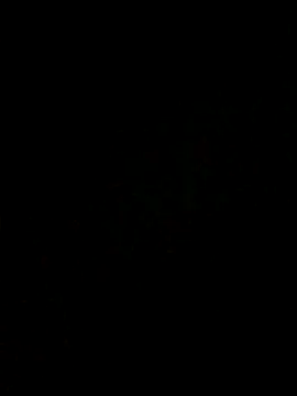 tiago1981pt online show from November 10, 10:09 am