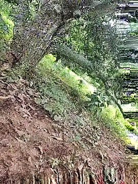 telugumodda4396 online show from October 18, 7:13 am