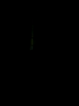 DrackoRexKing64 online show from September 22, 1:16 am