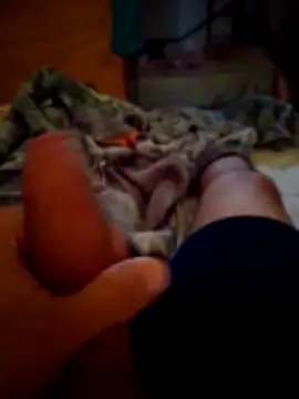 SALCEDO 041198 online show from November 21, 11:42 am