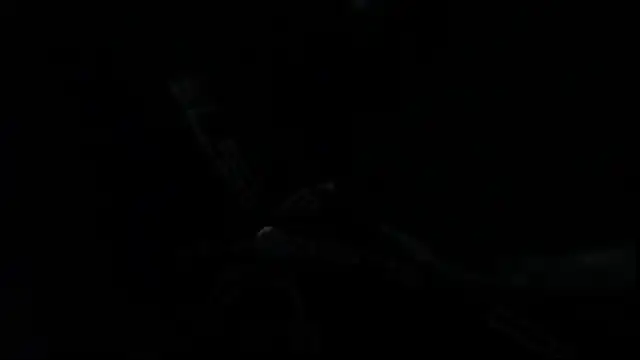 SteveDickson  online show from October 14, 9:11 pm