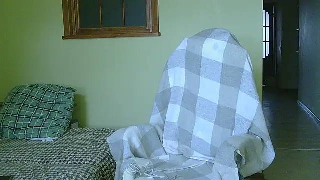  Timmy Boy  online show from November 13, 9:25 am