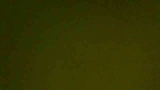 Kavin New online show from November 25, 3:25 pm