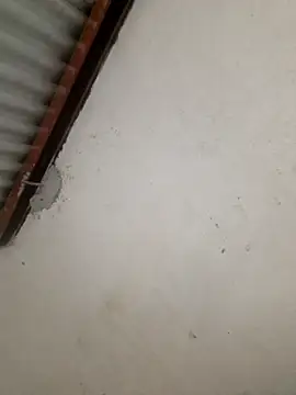 Elkiler72027 online show from November 24, 6:03 am