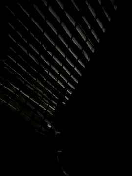 tonzin o online show from October 23, 4:05 am