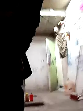 8uno online show from October 17, 2:54 pm