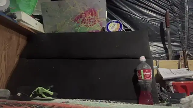 LumpaCoal online show from February 8, 10:32 am