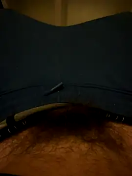 Theanimals online show from November 15, 12:01 am