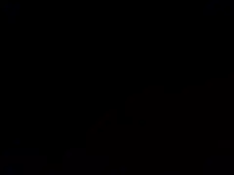 elvergon29 online show from October 11, 3:43 am