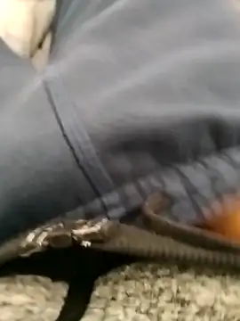 sebastianloquillo online show from October 29, 4:32 pm