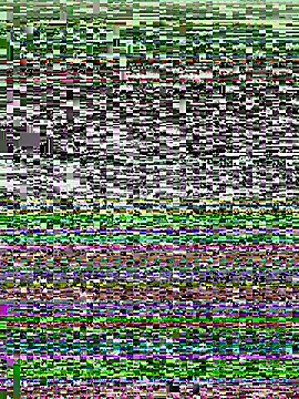 Snapshot of sexeloveRR chatting on November 1, 2:59 am sexeloveRR online show from November 1, 2:59 am