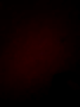 Eduvega online show from October 25, 10:39 am