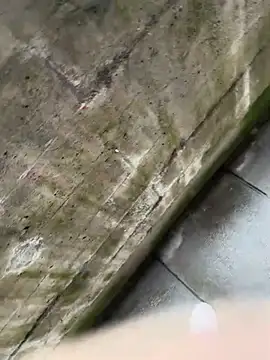 AlexGogo23 online show from February 10, 12:10 pm