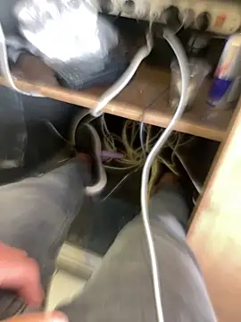 arasazgin online show from March 18, 12:19 pm