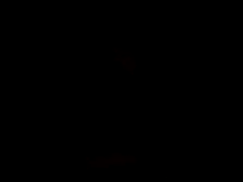 YoussefAl-Fahl online show from October 15, 10:17 pm