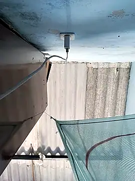 RennySem online show from November 1, 5:39 pm