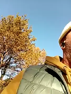 Ptitcouic online show from November 8, 10:29 am