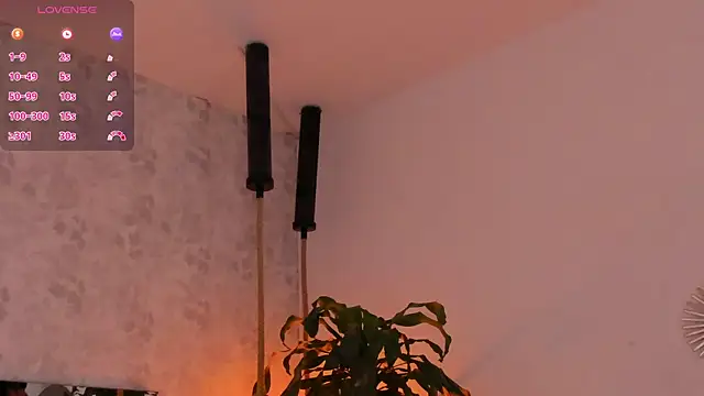 david lux online show from October 29, 1:03 pm