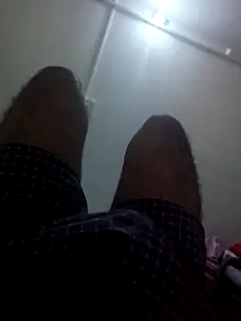 sugar seeker online show from December 1, 1:14 pm