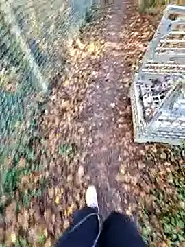 bbyxklaus online show from December 19, 12:35 pm