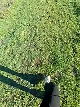 bbyxklaus online show from December 3, 11:49 am