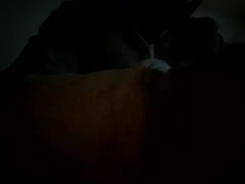 bart98geil online show from January 12, 7:56 am