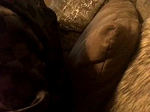 HappySexyYoungBoy11 online show from November 9, 1:26 pm