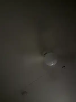 D13ON3L online show from November 8, 8:06 am