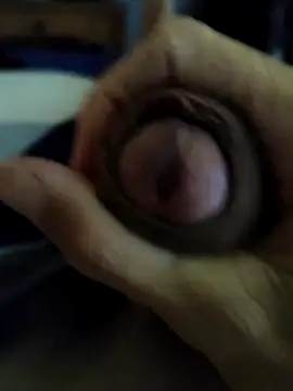 frajola-rs online show from November 10, 2:11 pm