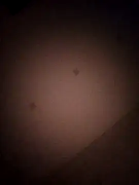 Mammothx12 online show from February 14, 7:53 pm