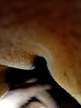 juanpi202535 online show from November 11, 3:00 am