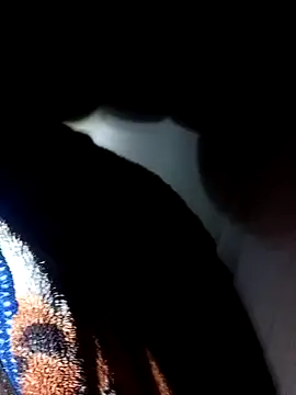 juanpi202535 online show from October 26, 5:09 am