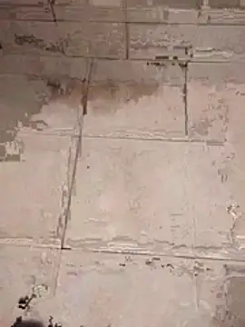 Andres  00 online show from March 28, 1:55 pm