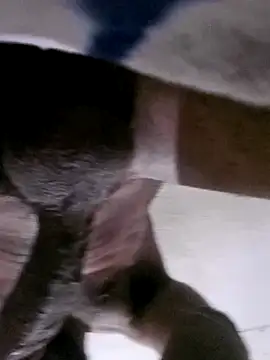 moreno 1999F online show from April 3, 6:43 am