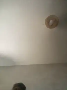 Dondeloquieras4 online show from April 23, 7:46 am