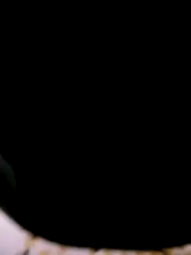 Pinos8700 online show from November 3, 12:15 am