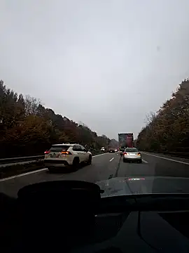 EchoVibe 86 online show from November 7, 3:26 pm