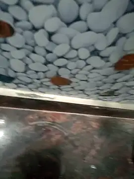 Pandey0012 online show from March 12, 11:51 am