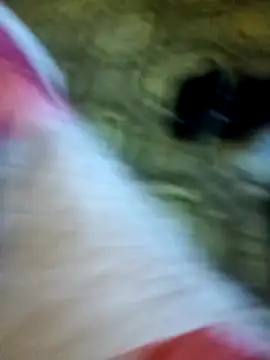 Simoncinooo23 online show from October 27, 9:17 pm