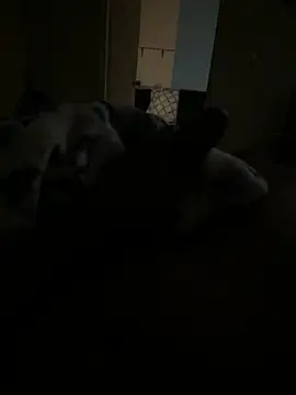 Trini2600 online show from November 11, 7:35 am